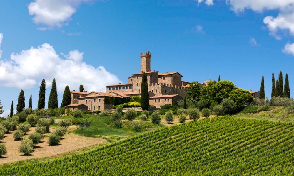Montalcino vineyards